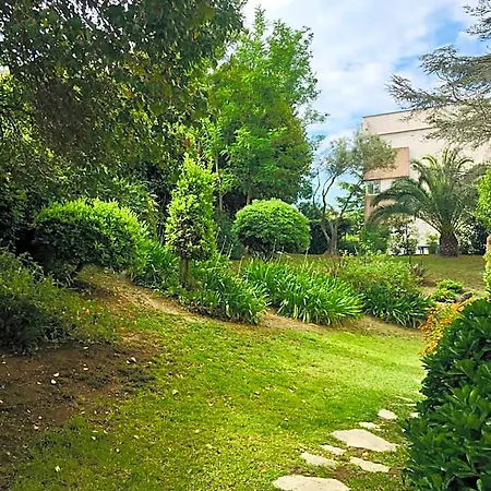 New 10 Minutes' Walk From The דירה